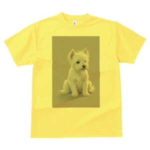 EGXgnChzCgeA TVc  j[NfUCfB[X t@  t vg lJWA 킢 lԗp Mtg I ҏ΍ EGXgnChz