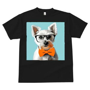 EGXgnChzCgeA TVc  j[NfUCfB[X t@  t vg lJWA 킢 lԗp Mtg I ҏ΍ Kl EGXgnC