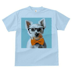 EGXgnChzCgeA TVc  j[NfUCfB[X t@  t vg lJWA 킢 lԗp Mtg I ҏ΍ Kl EGXgnC