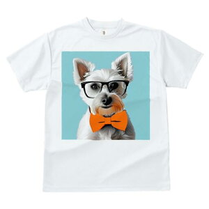 EGXgnChzCgeA TVc  j[NfUCY LbY t@  t vg lJWA 킢 lԗp Mtg I ҏ΍ Kl EGXgn