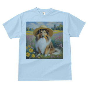 VFbghV[vhbO TVc  j[NfUCfB[X t@  t vg lJWA 킢 lԗp Mtg I ҏ΍ Xq VFbghV[vh