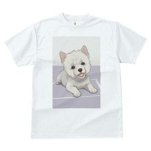 EGXgnChzCgeA TVc  j[NfUCfB[X t@  t vg lJWA 킢 lԗp Mtg I ҏ΍ EGXgnChz