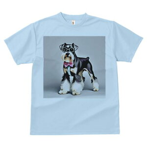 ~j`AViEU[ TVc  j[NfUCfB[X t@  t vg lJWA 킢 lԗp Mtg I ҏ΍ Kl ~j`AViEU[ 