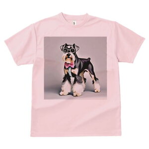 ~j`AViEU[ TVc  j[NfUCfB[X t@  t vg lJWA 킢 lԗp Mtg I ҏ΍ Kl ~j`AViEU[ 