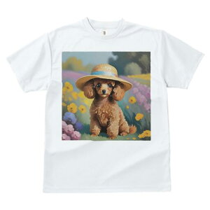 gCv[h TVc  j[NfUCfB[X t@  t vg lJWA 킢 lԗp Mtg I ҏ΍ Xq gCv[h 