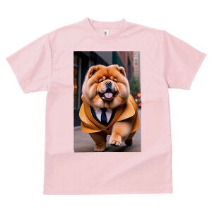 `E`E TVc  j[NfUCfB[X t@  t vg lJWA 킢 lԗp Mtg I ҏ΍ X[c `E`E lN^C X