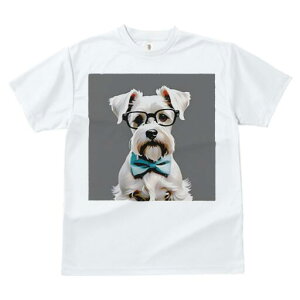 ~j`AViEU[ TVc  j[NfUCY LbY t@  t vg lJWA 킢 lԗp Mtg I ҏ΍ Kl ~j`AViEU