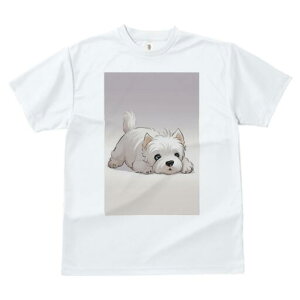 EGXgnChzCgeA TVc  j[NfUCfB[X t@  t vg lJWA 킢 lԗp Mtg I ҏ΍ 킢 EGXgnC