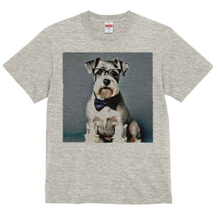 ~j`AViEU[ TVc  j[NfUCfB[X t@  t vg lJWA 킢 lԗp Mtg I ҏ΍ Kl ~j`AViEU[ 