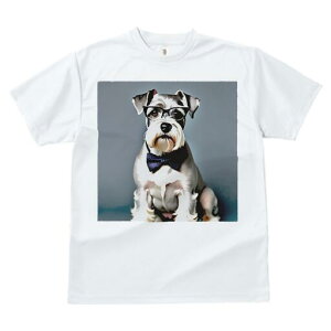 ~j`AViEU[ TVc  j[NfUCfB[X t@  t vg lJWA 킢 lԗp Mtg I ҏ΍ Kl ~j`AViEU[ 