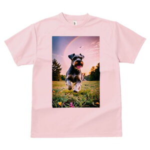 ~j`AViEU[ TVc  j[NfUCfB[X t@  t vg lJWA 킢 lԗp Mtg I ҏ΍  ~j`AViEU[  