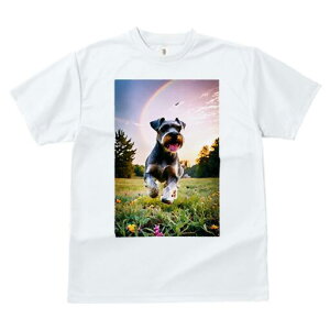 ~j`AViEU[ TVc  j[NfUCfB[X t@  t vg lJWA 킢 lԗp Mtg I ҏ΍  ~j`AViEU[  