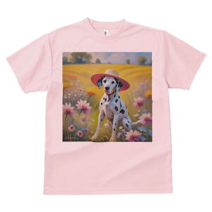 _VA TVc  j[NfUCfB[X t@  t vg lJWA 킢 lԗp Mtg I ҏ΍ Xq _VA   