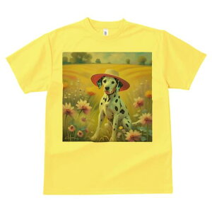 _VA TVc  j[NfUCfB[X t@  t vg lJWA 킢 lԗp Mtg I ҏ΍ Xq _VA   