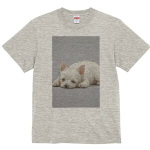 EGXgnChzCgeA TVc  j[NfUCfB[X t@  t vg lJWA 킢 lԗp Mtg I ҏ΍ EGXgnChz