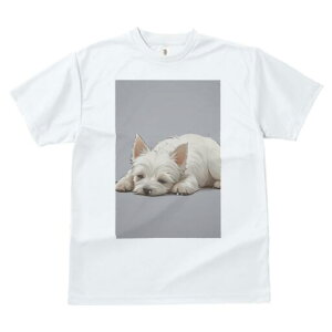 EGXgnChzCgeA TVc  j[NfUCfB[X t@  t vg lJWA 킢 lԗp Mtg I ҏ΍ EGXgnChz