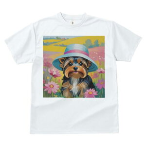 [NV[eA TVc  j[NfUCfB[X t@  t vg lJWA 킢 lԗp Mtg I ҏ΍ Xq [NV[eA  