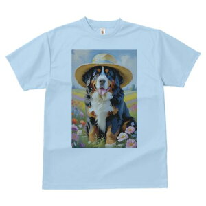 o[j[Y}EehbO TVc  j[NfUCfB[X t@  t vg lJWA 킢 lԗp Mtg I ҏ΍ Xq o[j[Y}Eeh