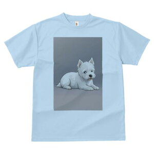 EGXgnChzCgeA TVc  j[NfUCfB[X t@  t vg lJWA 킢 lԗp Mtg I ҏ΍ EGXgnChz