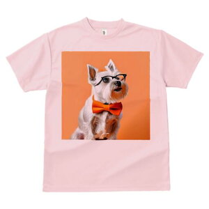 EGXgnChzCgeA TVc  j[NfUCfB[X t@  t vg lJWA 킢 lԗp Mtg I ҏ΍ lN^C EGXgn