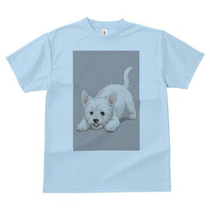 EGXgnChzCgeA TVc  j[NfUCfB[X t@  t vg lJWA 킢 lԗp Mtg I ҏ΍ EGXgnChz