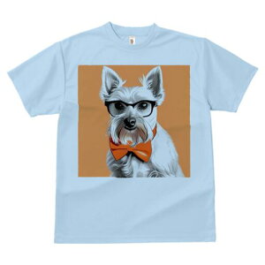 EGXgnChzCgeA TVc  j[NfUCfB[X t@  t vg lJWA 킢 lԗp Mtg I ҏ΍ Kl EGXgnC