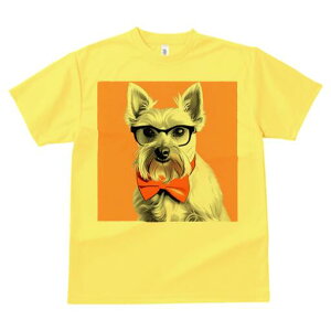 EGXgnChzCgeA TVc  j[NfUCfB[X t@  t vg lJWA 킢 lԗp Mtg I ҏ΍ Kl EGXgnC