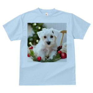 }`[Y TVc  j[NfUCfB[X t@  t vg lJWA 킢 lԗp Mtg I ҏ΍ NX}X }`[Y I[ig NX}