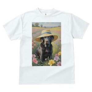 uh[go[ TVc  j[NfUCfB[X t@  t vg lJWA 킢 lԗp Mtg I ҏ΍ Xq uh[go[  