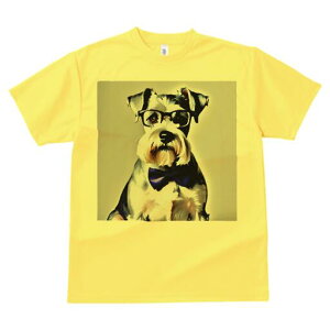 ~j`AViEU[ TVc  j[NfUCfB[X t@  t vg lJWA 킢 lԗp Mtg I ҏ΍ Kl ~j`AViEU[ 