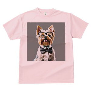 [NV[eA TVc  j[NfUCfB[X t@  t vg lJWA 킢 lԗp Mtg I ҏ΍ Kl [NV[eA lN^