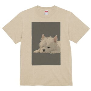 EGXgnChzCgeA TVc  j[NfUCY LbY t@  t vg lJWA 킢 lԗp Mtg I ҏ΍ EGXgnCh