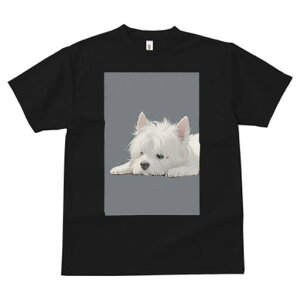 EGXgnChzCgeA TVc  j[NfUCfB[X t@  t vg lJWA 킢 lԗp Mtg I ҏ΍ EGXgnChz