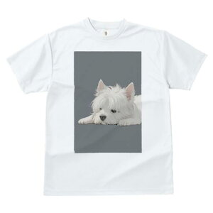 EGXgnChzCgeA TVc  j[NfUCfB[X t@  t vg lJWA 킢 lԗp Mtg I ҏ΍ EGXgnChz