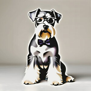 Kl ~j`AViEU[ lN^C NbVJo[ 45×45cm Aj}   NbV{̕t `