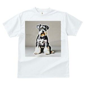 ~j`AViEU[ TVc  j[NfUCfB[X t@  t vg lJWA 킢 lԗp Mtg I ҏ΍ Kl ~j`AViEU[ 