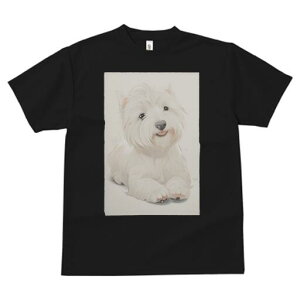 EGXgnChzCgeA TVc  j[NfUCfB[X t@  t vg lJWA 킢 lԗp Mtg I ҏ΍ EGXgnChz