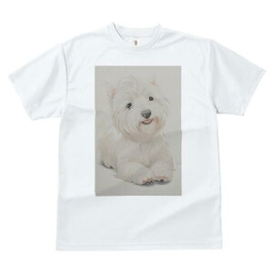 EGXgnChzCgeA TVc  j[NfUCfB[X t@  t vg lJWA 킢 lԗp Mtg I ҏ΍ EGXgnChz