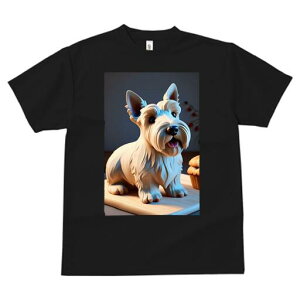 EGXgnChzCgeA TVc  j[NfUCfB[X t@  t vg lJWA 킢 lԗp Mtg I ҏ΍ }tB EGXgnC