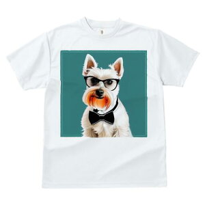 ~j`AViEU[ TVc  j[NfUCfB[X t@  t vg lJWA 킢 lԗp Mtg I ҏ΍ Kl ~j`AViEU[ 