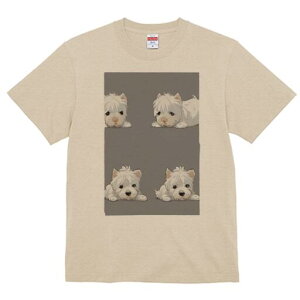 EGXgnChzCgeA TVc  j[NfUCfB[X t@  t vg lJWA 킢 lԗp Mtg I ҏ΍ EGXgnChz