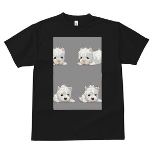 EGXgnChzCgeA TVc  j[NfUCfB[X t@  t vg lJWA 킢 lԗp Mtg I ҏ΍ EGXgnChz