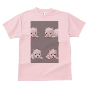 EGXgnChzCgeA TVc  j[NfUCfB[X t@  t vg lJWA 킢 lԗp Mtg I ҏ΍ EGXgnChz