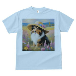 VFbghV[vhbO TVc  j[NfUCfB[X t@  t vg lJWA 킢 lԗp Mtg I ҏ΍ Xq VFbghV[vh