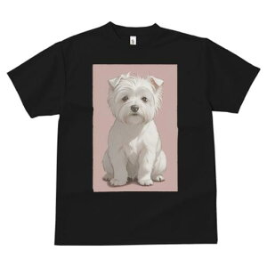 EGXgnChzCgeA TVc  j[NfUCfB[X t@  t vg lJWA 킢 lԗp Mtg I ҏ΍ EGXgnChz