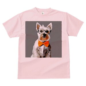 EGXgnChzCgeA TVc  j[NfUCfB[X t@  t vg lJWA 킢 lԗp Mtg I ҏ΍ lN^C EGXgn