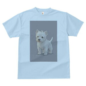 EGXgnChzCgeA TVc  j[NfUCfB[X t@  t vg lJWA 킢 lԗp Mtg I ҏ΍ EGXgnChz