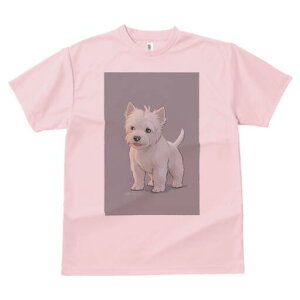 EGXgnChzCgeA TVc  j[NfUCfB[X t@  t vg lJWA 킢 lԗp Mtg I ҏ΍ EGXgnChz