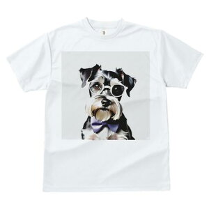 ~j`AViEU[ TVc  j[NfUCfB[X t@  t vg lJWA 킢 lԗp Mtg I ҏ΍ Kl ~j`AViEU[ 