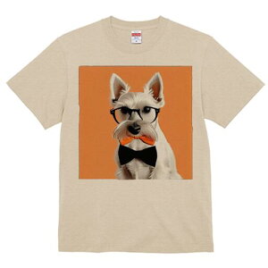 ~j`AViEU[ TVc  j[NfUCfB[X t@  t vg lJWA 킢 lԗp Mtg I ҏ΍ Kl ~j`AViEU[ 